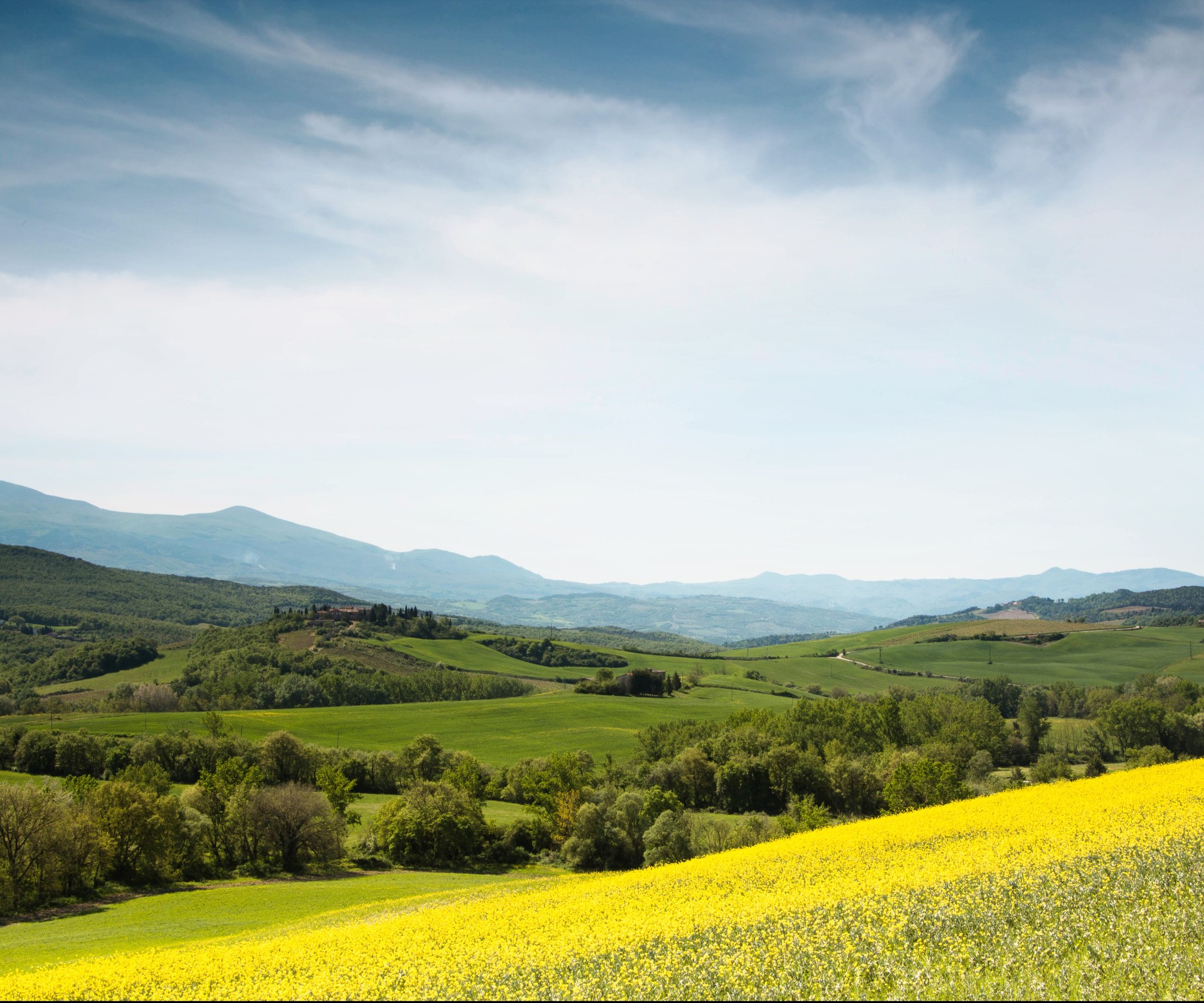 Gelbes Rapsfeld vor grüner Weide und eine Hügellandschaft mit blauem Himmel im Hintergrund