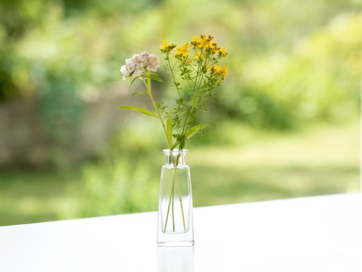 A Frosch Oase glass bottle stands on a table and is filled with water and flowers
